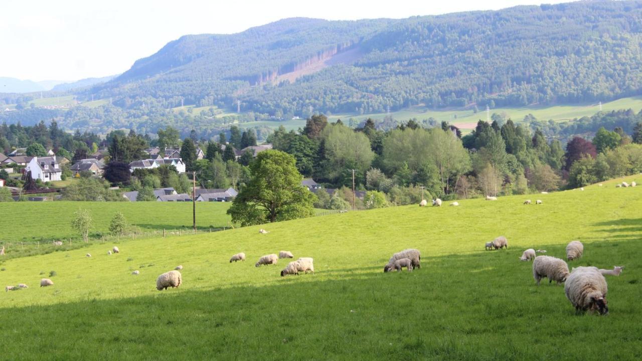 Youth * Pitlochry